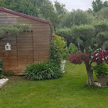 B&B D'hotes Chalet Des Oliviers Bezouce